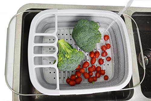 SAMMART 8L Expandable & Collapsible Plastic Dish Drainer - Foldable Drying Rack - Portable Dinnerware Organizer - Space Saving Kitchen Storage Tray